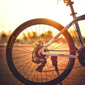 Bike back wheel and chain