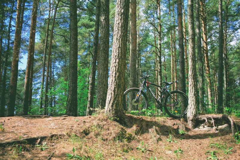 Mountain bike on a trail